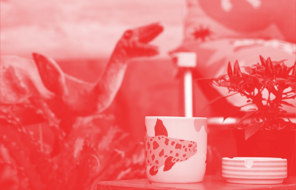 CAMPANHA DARWIN + VOADOR